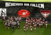 PIES ESSENDON TIGERS TEAM POSTER, ANZAC AFL FOOTBALL, DEMONS, CATS, DOGS, CROWS,