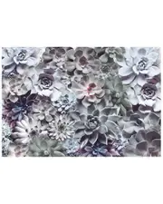 Komar Shades Wall Mural