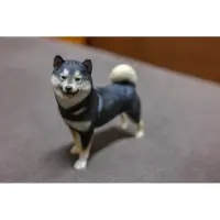 在飛比找蝦皮購物優惠-1:6 柴犬 黑柴 狗狗 公仔 玩具 模型 柴柴 動物 擬真