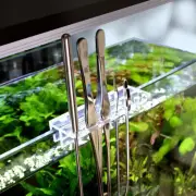 Aquarium Cleaning Tools Fish Tank Clean Tweezer Scissor Algae Scraper Stainless