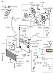 Genuine/OEM 254202B200AAA HOSE-ATA OIL COOLING(FEED) for Hyundai Santa Fe CM 06