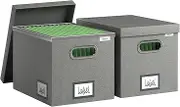GRSQYS File Organizer Box - File Boxes for Hanging Files with Lid Set of 2 Decorative Hanging Folders Letter Size Organizer with One-Piece Plastic Frame Slides (Grey, 13.2 * 10.1 * 10.1in(2Pack))