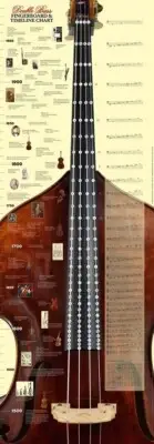Full size 1:1 Bass Fingerboard and Timeline Poster