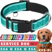 Reflective Pet Collar – Teal – M – Extra Soft Padding – Basic Nylon Dog Collar