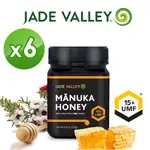 6入組【紐西蘭JADE VALLEY】麥盧卡蜂蜜UMF15+ (250G)  ＃獨麥素＃純蜜＃天然＃純淨＃無添加＃防疫