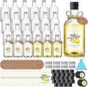 Baderke Plastic Limoncello Bottles 16 oz Limoncello Bottles with Caps and Tags Homemade Limoncello Wine Bottles and Labels for Home Brewing Wedding Party Favors