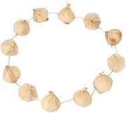 Garlic Garland on Necklace for Vampire Slayer Fancy Dress Costume