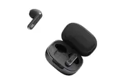 JBL Live Flex black earbuds