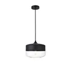 Living District Ashwell 1 Light Pendant, Black/Clear, 9.8" - LD2243BK