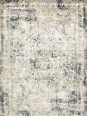 Estelle Multi Colour Distressed Rug