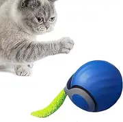 SHGarden Interactive Cat Ball Toy Self Rolling Ball USB Rechargeable Smart Cat Toys Ball 360°Automatic Rolling Ball Toy with Tail Speedy Tail Cat Toy for Indoor Cats SH0090 (Blue)