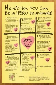 1999 Doris Day Animal Foundation Vintage Print Ad/Poster Authentic Retro Art 90s