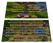 Stern Rollercoaster Tycoon Pinball Custom Apron Instruction Cards