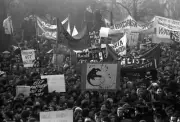 Forest Of Banners As A Crowd Of Anti-Apartheid Demonstrators 1970 RUGBY PHOTO