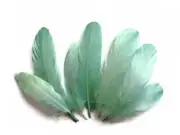1/4 Lb - Mint Green Goose Nagoire Wholesale Feathers Bulk Costume Supply Wedding