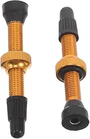 Abaodam 2pcs -Proof Valve for Bikes Alloy Valve Core Tubeless Tire Core Maintenance Set