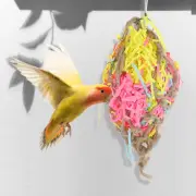 Birds Supplies Toys Parrots Wire Mesh Belt Playthings Parrot Chewing Package