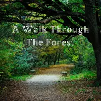 在飛比找誠品線上優惠-A Walk Through the Forest: A B