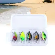 5 Pcs Environmentally-friendly Fishing Lures Grub with Carrying Box