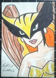 Original Signed Robert Smith DC Animated Hawkgirl JLU Marker Sketch Card