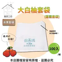 在飛比找momo購物網優惠-【蔬菜工坊】大白柚套袋-100入/組(蓮霧套袋)