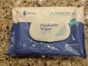 Because Flushable Wipes Alcohol Free 48 Wipes