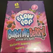 48 Count Charms Blow Pop Bursting Berry Suckers Candy Pops Lollipops
