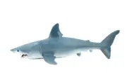 Blue Shark, Realistic Toy Figure, Model, Replica Educational Gift 7" CH238 BB121