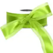 OFFRAY GARBO CHARTREUSE 5/8" SATIN RIBBON 60 FT WEDDING ANNIVERSARY PARTY FAVORS