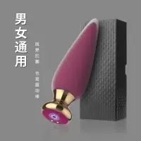 在飛比找樂天市場購物網優惠-震動棒男女通用前列腺后庭按摩肛塞 自慰器夫妻玩具成人情趣用品