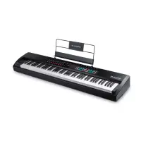 在飛比找momo購物網優惠-【M-AUDIO】Hammer 88 PRO MIDI 鍵盤