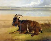20 Tiles Wildlife Archibald Thorburn Ceramic Mural Backsplash Bath Tile #2263