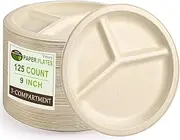 Vetory 9 inch - 125-Pack 3-Compartment Paper Plates, Disposable Party Plates