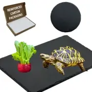 2 Pack Reptile Basking Platform 11.8 × 6" + 4", Reptile 11.8 × 6 IN + 4 IN