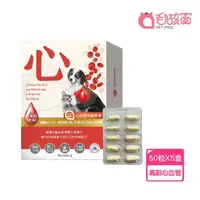 在飛比找momo購物網優惠-【Pet-Pro 毛孩寶】心血管保健膠囊 50粒X5盒(心臟