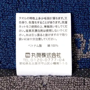 Marushin 丸真 哈利波特 抗菌加工刺繡手帕 方巾 分類帽 RS72621