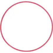 Olympus POL-E101 O-Ring