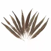 10Pcs Natural Pheasant Tail Feathers 30-35mm Long DIY Craft Party Decor