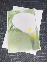 Hallmark Sympathy Card: Simple Calla Lily Thinking Of You Wishing Peace Comfort