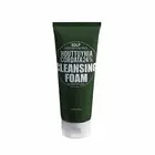 Dermatology Skin Care - EDLP Houttuynia Cordata 24% Acne Foam Cleanser, 120ml
