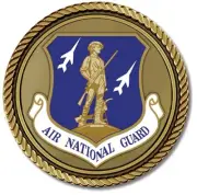 Air National Guard for Box Cremation Urn/Flag Case - 2 Inch Diameter