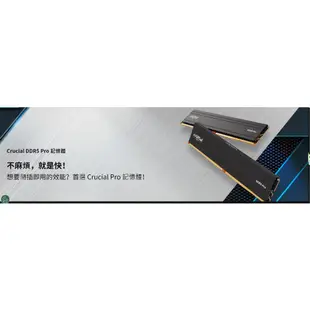 Crucial DDR5 pro 5600 96GB (2x48GB) XMP 3.0 & AMD EXPO Ready