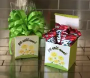 Get Well Soon Fruit By The Foot Gift Basket-Box With Green Bow