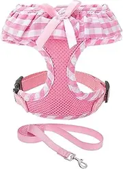 Soft Mesh Dog Harness and Leash Set - No Choke Step-in Adjustable Cute Vest, Breathable Lightweight for Puppy Dogs Cats Outdoor Walking (Pink, Small)