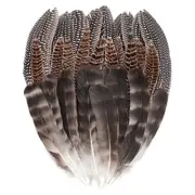 30 Pcs 15-22cm Natural Pheasant Feathers 3 Style Mixed Natural Feathers for