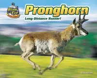 在飛比找博客來優惠-Pronghorn: Long-Distance Runne
