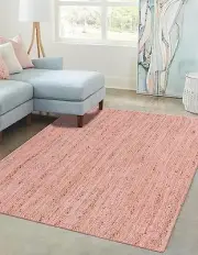 Braided Jute Collection Area Rug - Dhaka 2' x 3'1" (Rectangular) Light Pink