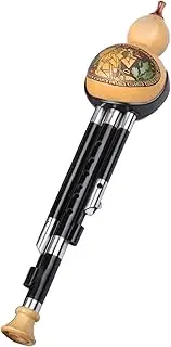 Natural Gourd Ebony Pipe Hulusi Flute Hulusi Instrument Chinese National Wind Instrument for Adult Beginner Calabash Flute
