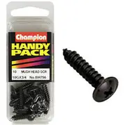 Champion Handy Pack Self-Tapping Screws BH756, 10G x 3/4"