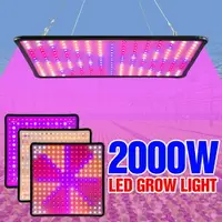 在飛比找樂天市場購物網優惠-2000W全光譜LED植物燈園藝110V植物補光燈多肉100